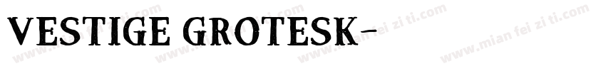 Vestige Grotesk字体转换